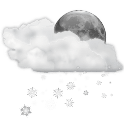 posamezna snežna ploha